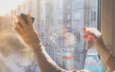 Nettoyage de vitres à Prades : l’importance de prendre soin de ses vitres